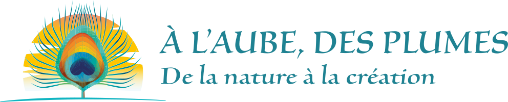 Logo A l'aube, des plumes - 200 logo header 2 Logo du site A l'aube, des plumes